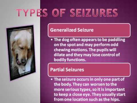 What are the most common indications of seizures during sleep?